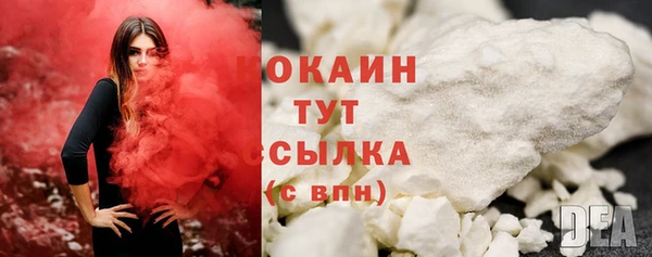 дживик Новозыбков