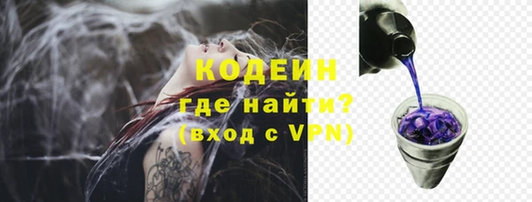 прущие грибы Рославль