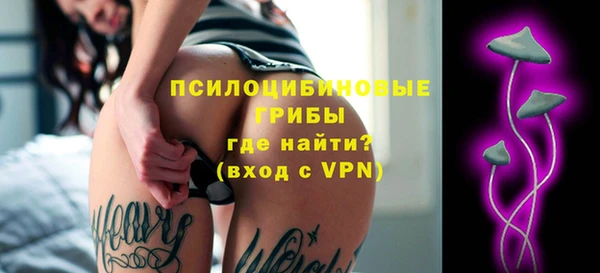 дживик Новозыбков