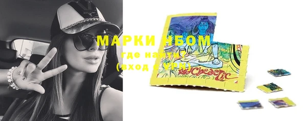 молекула духа Новодвинск