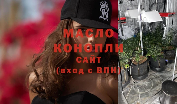 дживик Новозыбков