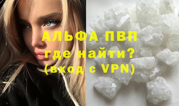 дживик Новозыбков
