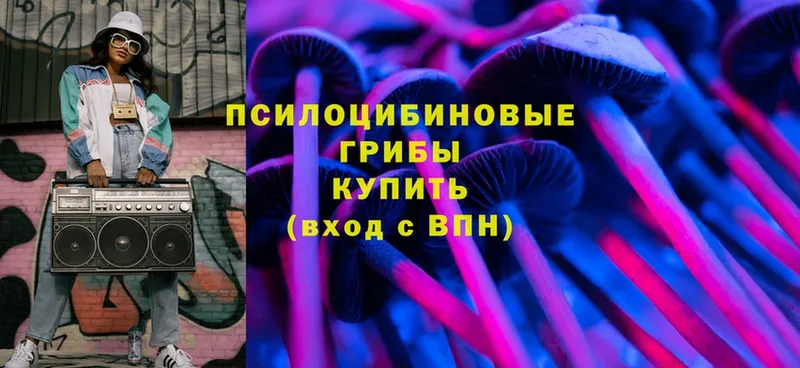 Псилоцибиновые грибы MAGIC MUSHROOMS  darknet Telegram  Кирс 